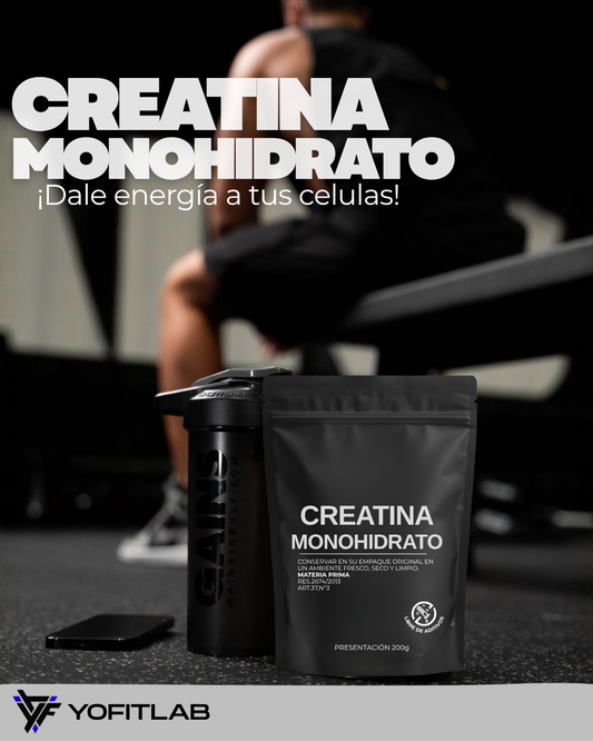CREATINA MONOHIDRATO 100% PURA